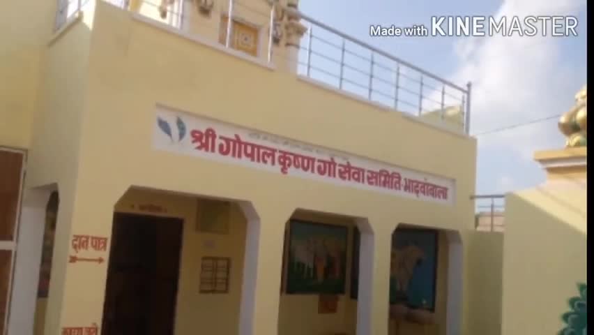 रायसिंहनगर: ग्राम पंचायत भांदवावाला की गोशाला में आरसीसी का निर्माण कार्य हुआ शुरू, होली के शुभ अवसर पर जागरण का होगा आयोजन #गोशाला