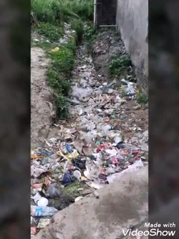 इटवा: बिस्कोहार व्यापार मंडल के अध्यक्ष ने सफाई कर्मियों की मदद से चलाया स्वच्छता अभियान #स्वच्छ_भारत_अभियान