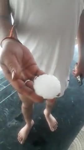 मिर्ज़ापुर: पूरे मिर्जापुर में आंधी तूफान और गिरे ओले फसल पूरी तरह से चौपट।
#ओलावृष्टि 
#agricultural 
﻿#ammirzapur62