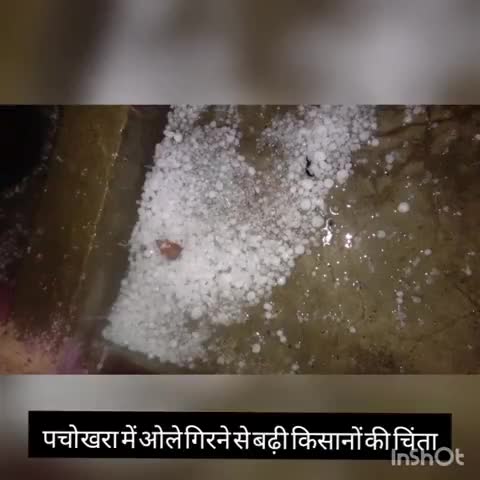 टूंडला: पचोखरा में हुई ओलों की बरसात, फसल बर्बाद होने के डर के किसानों की बढ़ी परेशानी #बरिश #किसान
