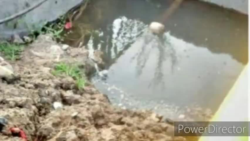 बाजना: बाजना में लीकेज पाइप लाइन से व्यर्थ बह रहा है हजारों लीटर पानी #जलसमस्या