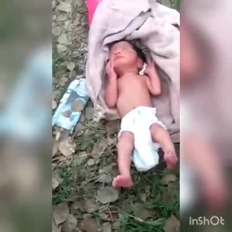 बरहट: कटौना गांव के पास झाड़ियों में रोते-बिलखते मिली नवजात, इलाज के लिए लाया गया सदर अस्पताल #नवजात #अपराध
