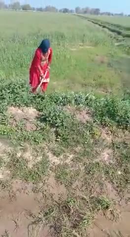 गंगानगर: ग्राम पंचायत कालिया में काम का समय पूरा नहीं हो पाने के कारण नरेगा मेटों को नहीं मिल पाती हैं सरकारी सुविधाएं #नरेगा