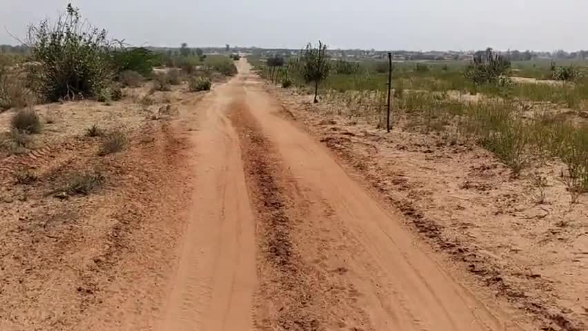 अनूपगढ़: ग्राम पंचायत 27A में कोरोना वायरस से बचाव के चलते नरेगा कार्य किया गया बंद #नरेगा #कोरोना_वायरस