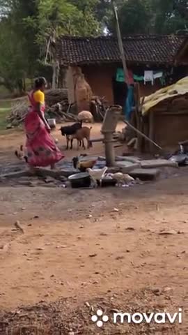 रनियां: रानियां प्रखंड के एक गांव में अभी तक दूर नहीं हुई जलसमस्या, आमजन हैं परेशान #जलसमस्या