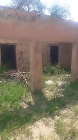 पदमपुर: ग्राम पंचायत 3rb के चक 3rb बी में बने प्राथमिक विद्यालय की जर्जर इमारत को किया गया नीलाम #नीलामी