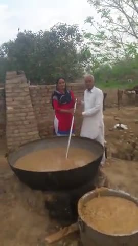 पदमपुर: ग्राम पंचायत फकीरवाली स्थित गोशाला प्रांगण में गो माता के लिए बनवाई गई सवामणी #गोमाता