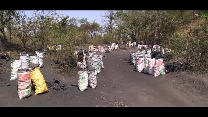 बेरमो: कारो जंगल से सीआईएसएफ ने छापेमारी कर 4.50 टन अवैध कोयला किया ज़ब्त #अपराध #अवैध_कोयला