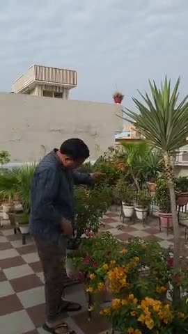 बरेली: gardening  keeps u calm in this Quarantine #Quarantine