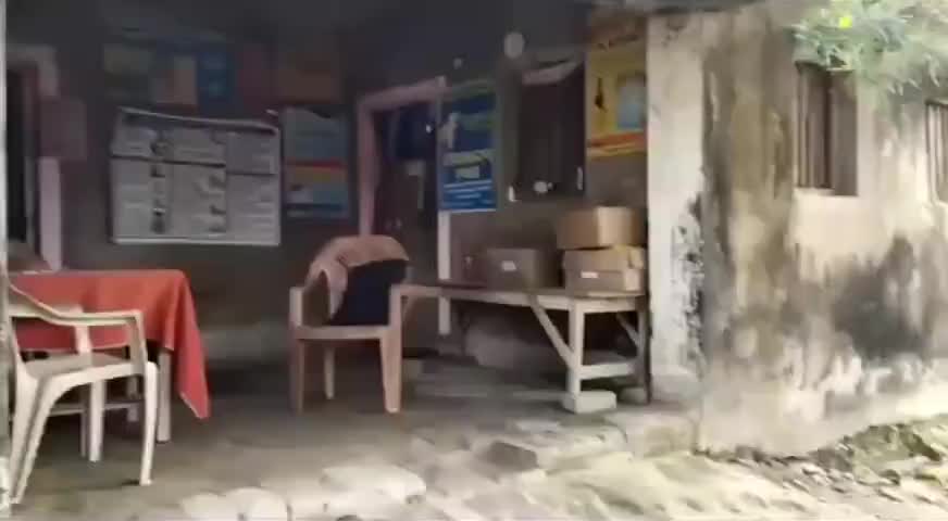 एक ऐसा #अस्पताल जहां #बिल्ली #डॉक्टर की भूमिका निभा रहे और #कुत्ता #मरीज का 
#Lock_Down में भी हॉस्पिटल बन्द 
#Corona