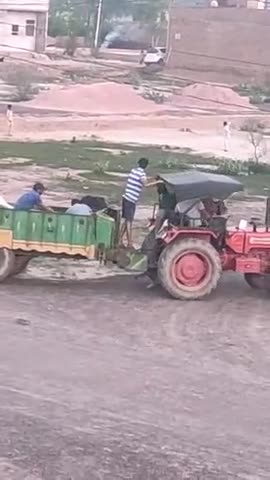 सूरतगढ़: ग्राम पंचायत 28GB के ग्राम 24GB की कॉलोनी में आवारा पशुओं को गोभक्तों के द्वारा डाला गया चारा #आवारा_पशु