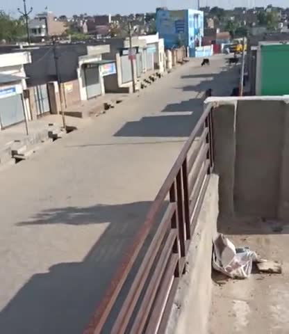 सूरतगढ़: सूरतगढ़  कोरोना वायरस से जुड़ी ख़बरें  पुलिस हुई सख्त #सूरतगढ़