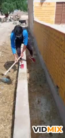 विजयनगर: ग्राम पंचायत 29 GB के गांव शिवपुरी में आवारा पशुओं को डाला गया चारा व की गई पशुओं के बाड़े की साफ-सफाई #आवारा_पशु