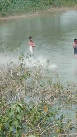 जैजैपुर: ##जैजैपुर ब्लॉक के चिस्दा गाव के तालाब के गंदा पानी की सफाई के लिया पोटैसियम का छिड़काव किया ﻿@﻿@﻿@