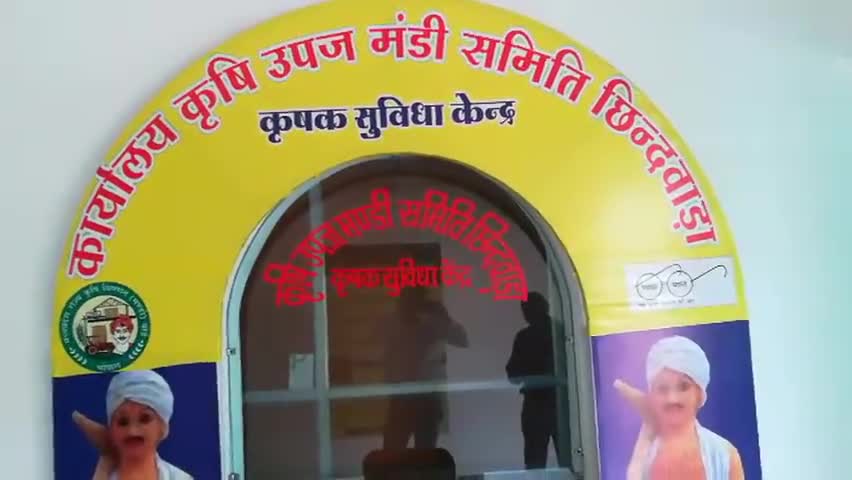 छिंदवाड़ा: 15 अप्रैल से कृषि उपज मंडी में शुरू होगी समर्थन मूल्य में गेहूं की खरीद #समर्थन_मूल्य #किसान