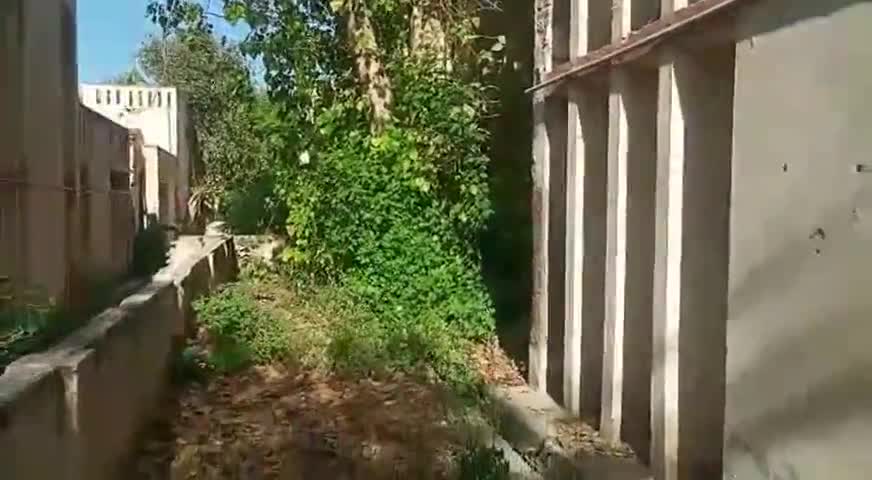 सूरतगढ़: सूरतगढ़ थर्मल कॉलोनी की सफाई व्यवस्था सुचारू करवाने को लेकर इंटक अध्यक्ष ने मुख्य अभियंता को दिया ज्ञापन #इंटक