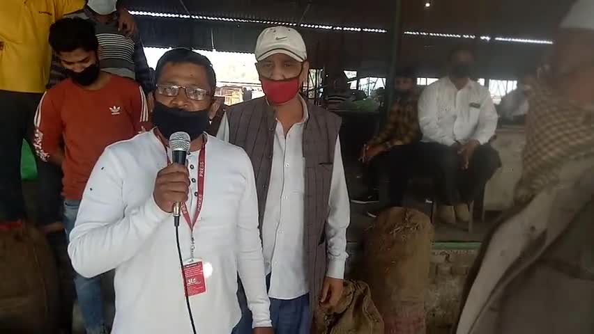 नजीबाबाद: नजीबाबाद में लॉकडाउन के चलते सब्जियों के गिरे दाम, पहाड़ों पर सप्लाई न होने के कारण किसान व आढ़ती परेशान #किसान #सब्जी