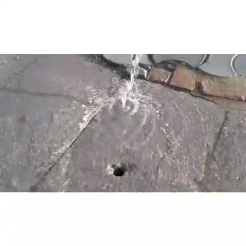 मिश्रिख: महोली नगर पंचायत के मोहल्ला कैथा में पीने योग्य पानी बह रहा व्यर्थ, प्रशासन बना बेखबर #जनसमस्या #जल_विभाग