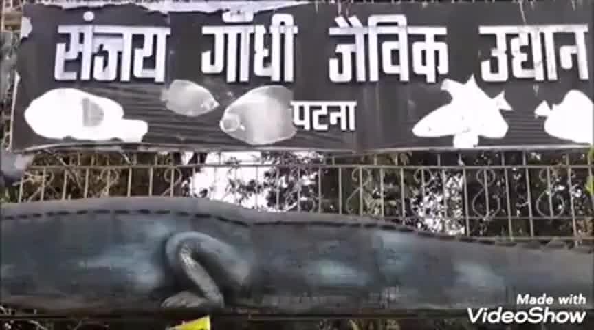 काराकाट: लॉक डाउन में पटना जू के जानवरों को मिली पहली बार प्राकृतिक वातावरण! #corona_ #biharpolice #bihgov #coronavirus_in_mau