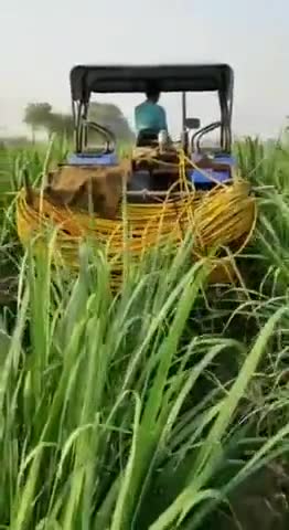 गाडरवारा: सालीचौका क्षेत्र में गन्ने की फसल में लगा रोग, गन्ना उत्पादक कृषक कर रहे कीटनाशक दवाओं का छिड़काव #किसान #कीटनाशक