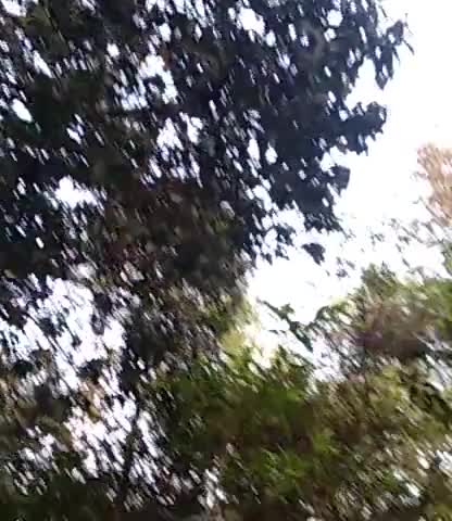 आरा: आवाज नाईखे#﻿@﻿@﻿@﻿@﻿@#देखा लोग घर मे राहा लोग ठिक बा