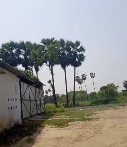 सिवान: #siwanews #corona hathaura andar road