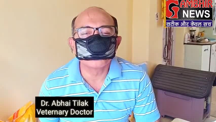 बरेली: Dogs से नहीं होता कोरोना वायरस।#covid19 #health #dogs #care