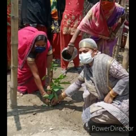 सुरसंड: पृथ्वी दिवस के अवसर पर सीतामढ़ी में लोगों ने किया पौधारोपण #पृथ्वी_दिवस