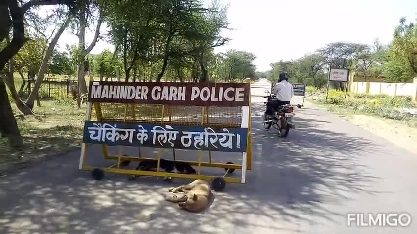 नारनौल: ज़िले में राजस्थान से आने वाले वाहनों को रोकने के लिए बॉर्डर पर लगाए गए 3 और नाके #लॉकडाउन #बॉर्डर