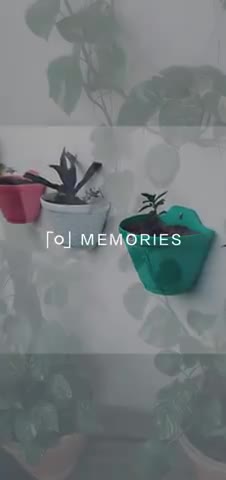 फरीदाबाद: Good time to plant,. Buy plastic pots from Rainbow planters.
https://www.myownshop.in/rainbowplanters #stay_home
