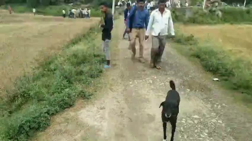 नौगढ़: ग्राम बड़गो में चल रहे मनरेगा कार्य में आई अड़चनों को हल्का लेखपाल व ग्राम प्रधान ने किया हल #मनरेगा #लेखपाल