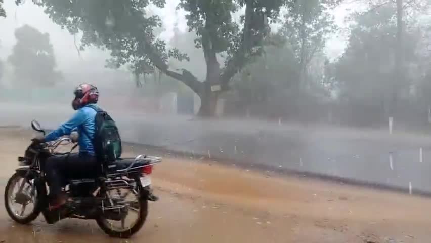 सिमडेगा: जिले में आंधी-तूफान, भारी बारिश और ओलावृष्टि से जनजीवन प्रभावित, फसल नुकसान से किसान चिंतित  #आंधी_तूफान