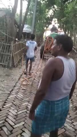 मधेपुरा: मधेपुरा के बाराही ओपी थाना क्षेत्र के मुरहो पंचायत के वार्ड नंबर 13 मुरहो भित्ता में #newsreport ﻿#reportermadhepura.