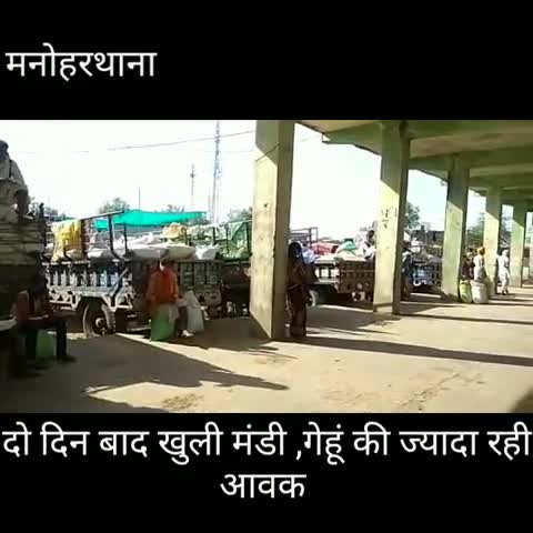 मनोहरथाना: मनोहर थाना कृषि उपज मंडी दो दिन बाद खुली, जिंसों की आवक रही कम #कृषि_मंडी