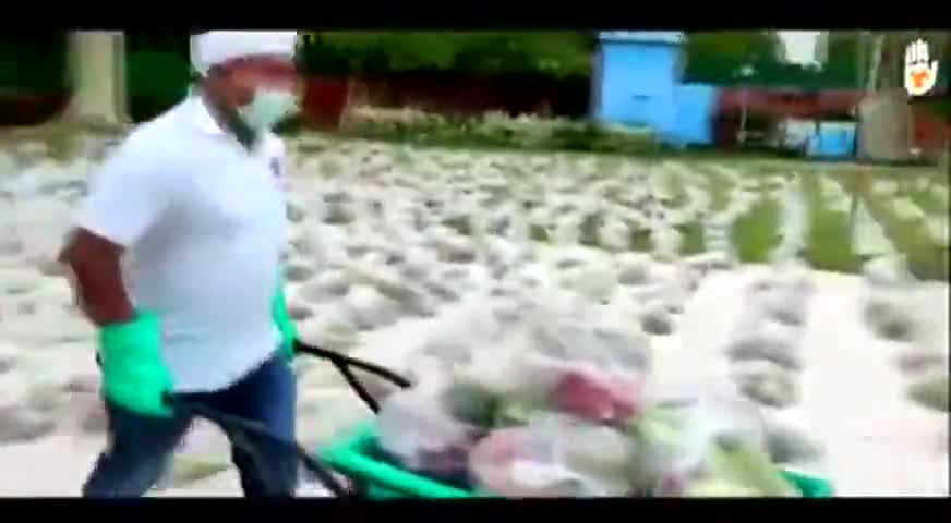 सिविल लाइन्स: भारतीय युवा कांग्रेस सदैव अपनो के साथ अपनो के﻿ लिए। ﻿#srinivasiyc ﻿#rssurjewala 
#IYCFightsCorona