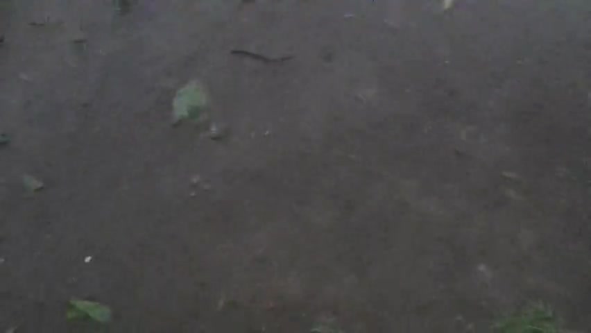 भानपुर: #ole se logo ki dikkate badhi bhari matra me barbadi#