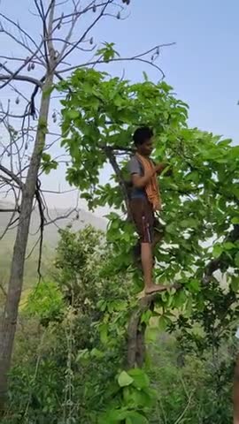 रोह: पृथ्वी का स्वर्ग जंगल है, और उस से संबंधित #Kawakole प्रखण्ड #Pachamba गाव कुछ नौजवानों ने दिया अच्छा संदेश..