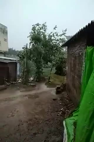 नौगढ़: Siddharth Nagar जिले में तूफानी हवाओं के साथ भारी वर्षा #Siddharth Nagar#Naugarh#update
