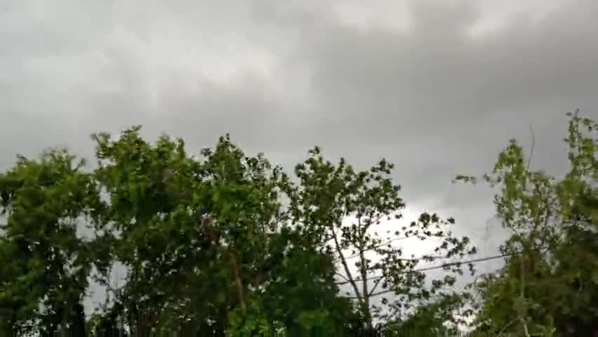 पारू: aandhi or tufan se Kai per paidhe tute saraiya virpur or bhari baris bhi hui hai#barish #tufan﻿#muzaffarpur