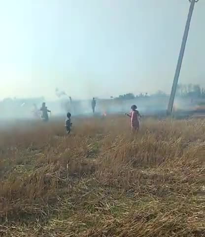 सहजनवा: सोनोरा गोसी मे लगी खेत में आग #सारे खेत जल गए 😥😥