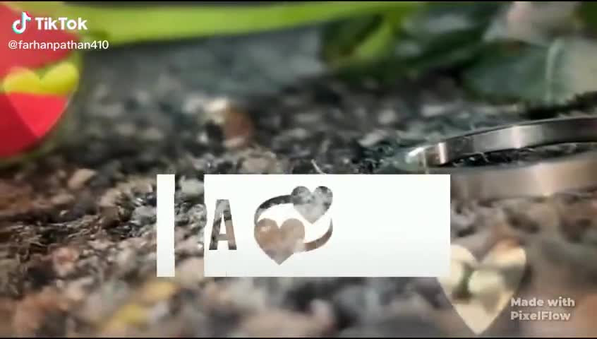 बीकानेर: I.LOVE YOU DAD#lockdownwithoutplan #indianfarmar#andarnews #viralvideo #viral