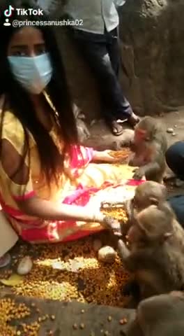 #Covid_19
#Monkey
#Trikuti
#Tapovan