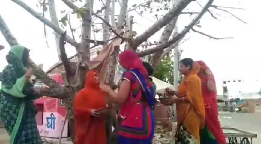 मेड़ता: मदर्स डे पर मेड़ता सिटी में महिलाओं ने जैतारण चौकी पर पक्षियों के लिए लगाए परिंडे #मातृ_दिवस