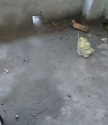 मोहनपुर: मोहनपुर प्रखण्ड के बुमुसर क्वायरनेसेंटर में सफाई का खस्ता हाल है#क्रोना﻿#अपडेट