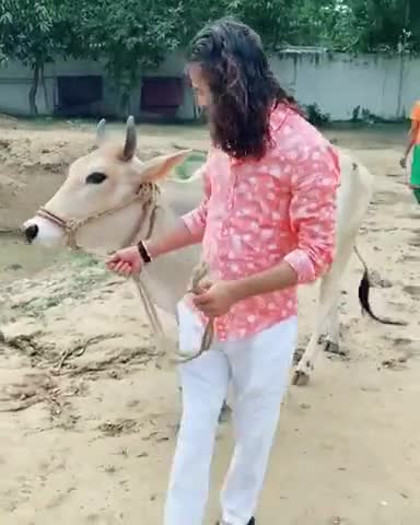 साहेबगंज: जो असली गौ भक्त होते हैं वो गाय के नाम पर राजनीति नहीं करते बल्कि गौ माता की सेवा करते हैं।#कोरोना#rjd #crjd #biharnews