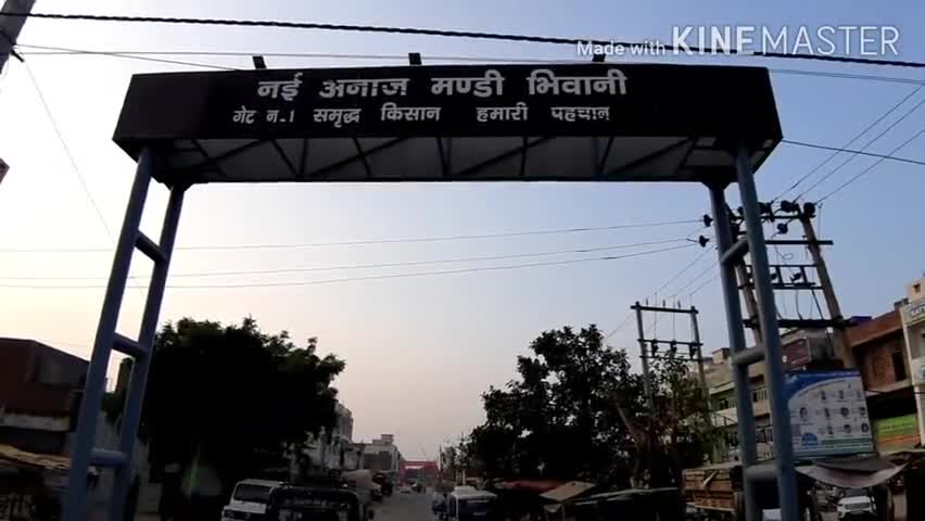 भिवानी: गठबंधन की सरकार ने किसानों को बर्बाद करके रख दिया: तोशाम विधायक किरण चौधरी #किरण_चौधरी