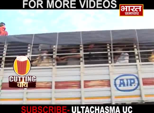 ट्रक में जानवरों की तरह भरकर लखनऊ एक्सप्रेसवे पहुचे लोग
#pragyamishra 
#cuttingchai 
#ultachasmauc