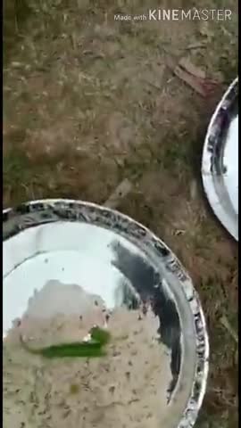 बिहार में हो रहा है बड़े पैमाने पर धांधली,
डबल इंजन की सरकार के दावे की खुल रही है पोल

#कोरोना
#मुख्यमंत्री_नीतीश_कुमार