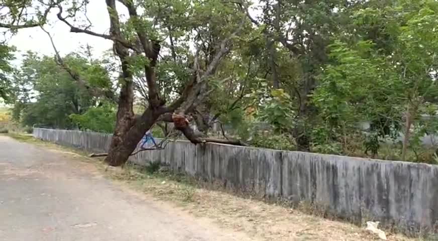 परैया: खुशडीहरा स्थित क्वारंटाइन सेंटर में शौचालय के आभाव में दीवार फांद कर खुले में शौच जा रहे प्रवासी मजदूर #क्वारंटाइन