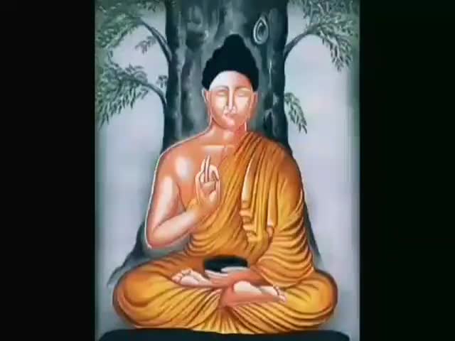 दमोह: संगीतमय बुद्ध वंदना
👏बुद्धम शरणं गच्छामि!!!
👏धम्म शरणं गच्छामि!!
👏संघम शरणं गच्छामि!
#बुद्ध वंदना